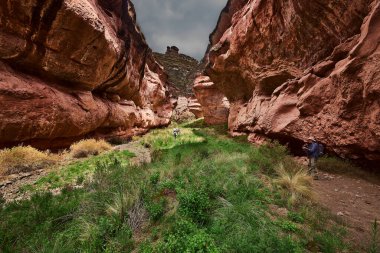 Penguen Kanyonu 'ndaki nefes kesici Tinajani Kanyonu' nu keşfetmek doğanın saf güzelliği ve yükselen kaya oluşumları bizi suskun bırakıyor. Buradaki her adım zamanda yolculuk gibi geliyor. Puno Peru