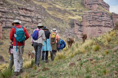 Penguen Kanyonu 'ndaki nefes kesici Tinajani Kanyonu' nu keşfetmek doğanın saf güzelliği ve yükselen kaya oluşumları bizi suskun bırakıyor. Buradaki her adım zamanda yolculuk gibi geliyor. Puno Peru