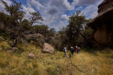 Penguen Kanyonu 'ndaki nefes kesici Tinajani Kanyonu' nu keşfetmek doğanın saf güzelliği ve yükselen kaya oluşumları bizi suskun bırakıyor. Buradaki her adım zamanda yolculuk gibi geliyor. Puno Peru