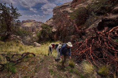 Penguen Kanyonu 'ndaki nefes kesici Tinajani Kanyonu' nu keşfetmek doğanın saf güzelliği ve yükselen kaya oluşumları bizi suskun bırakıyor. Buradaki her adım zamanda yolculuk gibi geliyor. Puno Peru