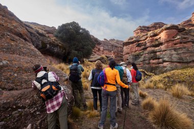 Penguen Kanyonu 'ndaki nefes kesici Tinajani Kanyonu' nu keşfetmek doğanın saf güzelliği ve yükselen kaya oluşumları bizi suskun bırakıyor. Buradaki her adım zamanda yolculuk gibi geliyor. Puno Peru