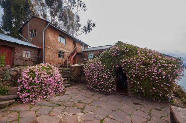 Capachica Yarımadası 'nda, çiçeklerin sıcacık göl kenarındaki bir evi ve taş bankları kucakladığı huzurlu bir köşe sizi Titicaca Gölü' nün muazzam güzelliğini durup takdir etmeye davet ediyor. Puno Peru