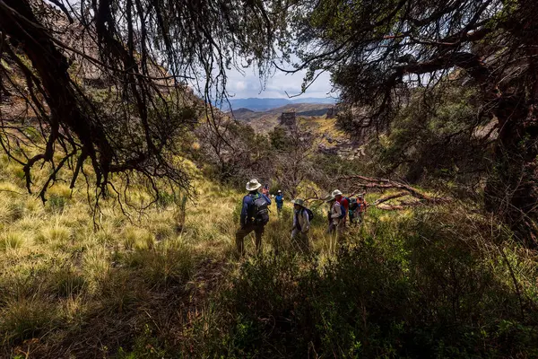 Penguen Kanyonu 'ndaki nefes kesici Tinajani Kanyonu' nu keşfetmek doğanın saf güzelliği ve yükselen kaya oluşumları bizi suskun bırakıyor. Buradaki her adım zamanda yolculuk gibi geliyor. Puno Peru