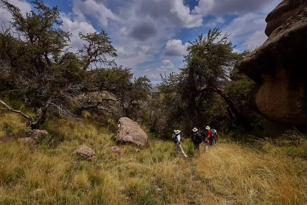 Penguen Kanyonu 'ndaki nefes kesici Tinajani Kanyonu' nu keşfetmek doğanın saf güzelliği ve yükselen kaya oluşumları bizi suskun bırakıyor. Buradaki her adım zamanda yolculuk gibi geliyor. Puno Peru