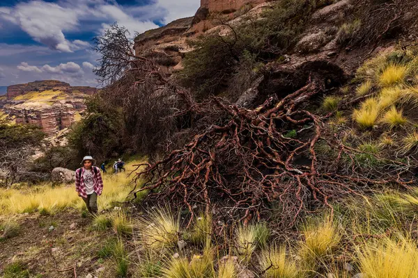 Penguen Kanyonu 'ndaki nefes kesici Tinajani Kanyonu' nu keşfetmek doğanın saf güzelliği ve yükselen kaya oluşumları bizi suskun bırakıyor. Buradaki her adım zamanda yolculuk gibi geliyor. Puno Peru