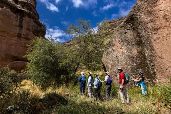 Penguen Kanyonu 'ndaki nefes kesici Tinajani Kanyonu' nu keşfetmek doğanın saf güzelliği ve yükselen kaya oluşumları bizi suskun bırakıyor. Buradaki her adım zamanda yolculuk gibi geliyor. Puno Peru