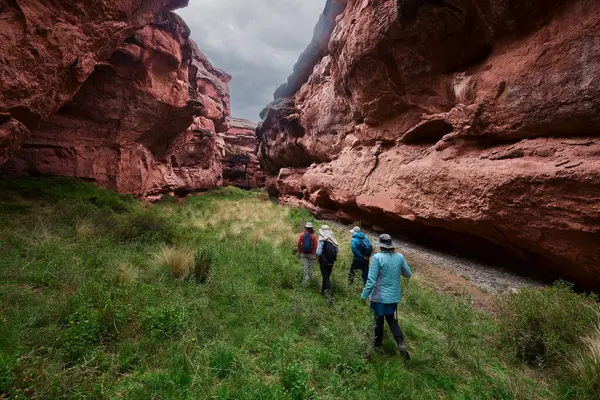 Penguen Kanyonu 'ndaki nefes kesici Tinajani Kanyonu' nu keşfetmek doğanın saf güzelliği ve yükselen kaya oluşumları bizi suskun bırakıyor. Buradaki her adım zamanda yolculuk gibi geliyor. Puno Peru