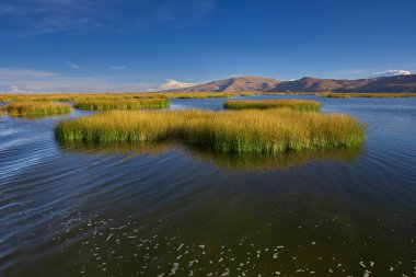 Uros Adaları 'nın büyüsünde kayboldum. Titicaca Gölü 'nde yüzen bu adalar insan yaratıcılığının ve esnekliğinin kanıtıdır. Tamamen sazlıklardan yapıldılar, Uru insanlarının evindeler. Puno Peru