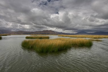 Uros Adaları 'nın büyüsünde kayboldum. Titicaca Gölü 'nde yüzen bu adalar insan yaratıcılığının ve esnekliğinin kanıtıdır. Tamamen sazlıklardan yapıldılar, Uru insanlarının evindeler. Puno Peru