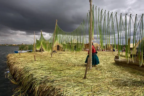 Uros Adaları 'nın büyüsünde kayboldum. Titicaca Gölü 'nde yüzen bu adalar insan yaratıcılığının ve esnekliğinin kanıtıdır. Tamamen sazlıklardan yapıldılar, Uru insanlarının evindeler. Puno Peru