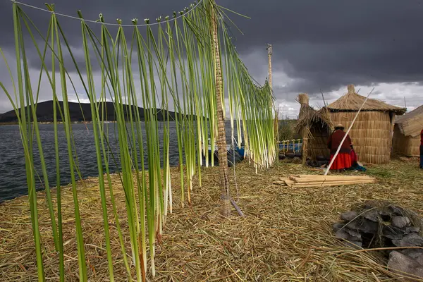 Uros Adaları 'nın büyüsünde kayboldum. Titicaca Gölü 'nde yüzen bu adalar insan yaratıcılığının ve esnekliğinin kanıtıdır. Tamamen sazlıklardan yapıldılar, Uru insanlarının evindeler. Puno Peru