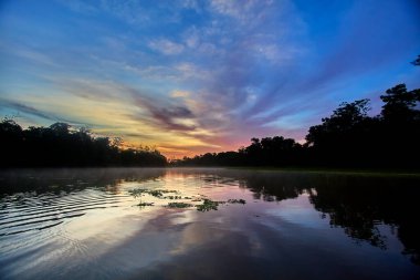 Pacaya Samiria 'nın aynalı suları üzerinde nefes kesici bir gün doğumu, sessizlik, sis ve renklerin doğanın en kutsal ayinlerinden birinde birleştiği yer. Peru yağmur ormanlarının derinliklerinde.
