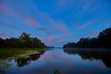 Pacaya Samiria 'nın aynalı suları üzerinde nefes kesici bir gün doğumu, sessizlik, sis ve renklerin doğanın en kutsal ayinlerinden birinde birleştiği yer. Peru yağmur ormanlarının derinliklerinde.