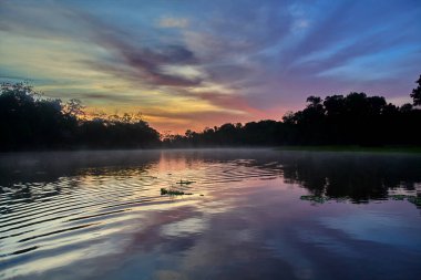 Pacaya Samiria 'nın aynalı suları üzerinde nefes kesici bir gün doğumu, sessizlik, sis ve renklerin doğanın en kutsal ayinlerinden birinde birleştiği yer. Peru yağmur ormanlarının derinliklerinde.