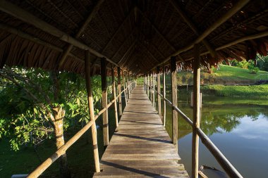 Pacaya Samiria 'nın kalbindeki Eko kaçışı. Amazon 'un vahşi güzelliğiyle çevrili sürdürülebilir konfor. Loreto Peru