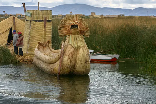 Bir tembel hayvan ayısı, Peru Amazon 'unun kalbinde nadir görülen bir yaşam belirtisi olan Pacaya Samiria' nın yoğun yağmur ormanlarında ilerler. Loreto Peru.