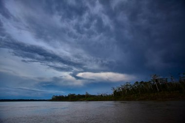 Gökyüzü güçlü Amazon fırtına bulutlarının üzerinde kükrer, rüzgarlar yükselir ve doğa bize ormanı kimin yönettiğini hatırlatır. Iquitos sularının üzerinde dramatik bir an.