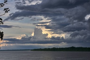 Gökyüzü güçlü Amazon fırtına bulutlarının üzerinde kükrer, rüzgarlar yükselir ve doğa bize ormanı kimin yönettiğini hatırlatır. Iquitos sularının üzerinde dramatik bir an.