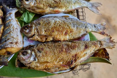 Amazon 'dan taze geldi ve Belen Market, Iquitos' ta orman aromalı ızgara altın, dumanlı kızarmış balığa servis edildi.
