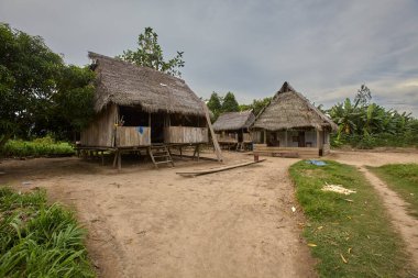 Geleneksel stilt evi Iquitos ormanının derinliklerinde palmiye sapı ve ahşap ile inşa edilmiş, yağmur ormanlarının ritmiyle mükemmel bir şekilde harmanlanmış..