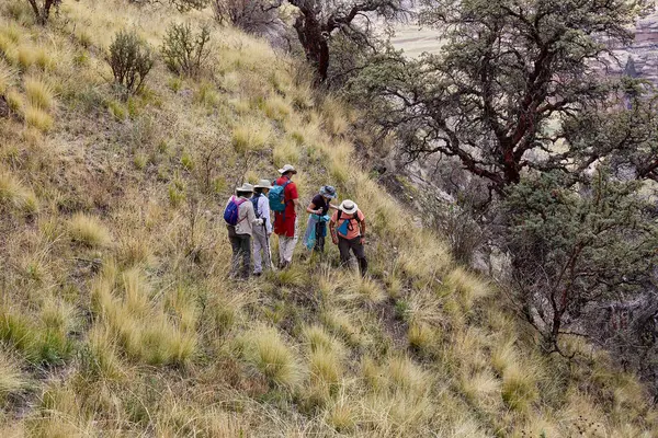 Penguen Kanyonu 'ndaki nefes kesici Tinajani Kanyonu' nu keşfetmek doğanın saf güzelliği ve yükselen kaya oluşumları bizi suskun bırakıyor. Buradaki her adım zamanda yolculuk gibi geliyor. Puno Peru