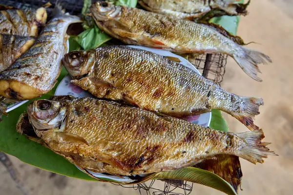 Amazon 'dan taze geldi ve Belen Market, Iquitos' ta orman aromalı ızgara altın, dumanlı kızarmış balığa servis edildi.