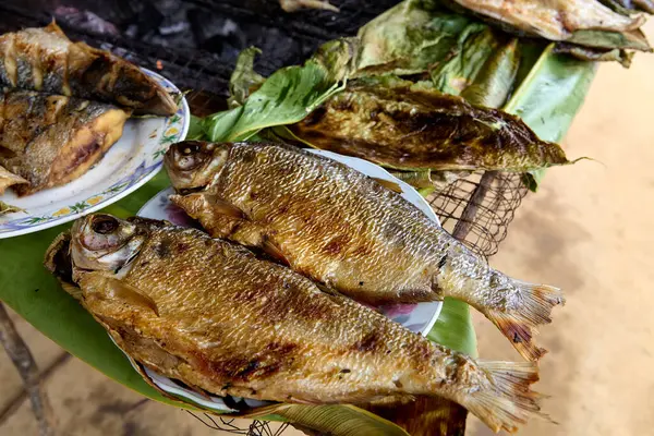 Amazon 'dan taze geldi ve Belen Market, Iquitos' ta orman aromalı ızgara altın, dumanlı kızarmış balığa servis edildi.
