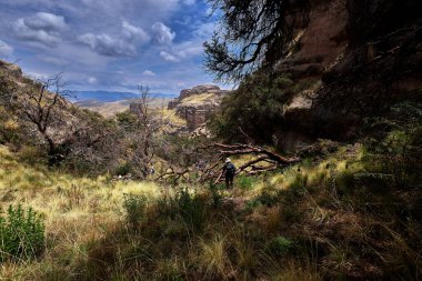 Penguen Kanyonu 'ndaki nefes kesici Tinajani Kanyonu' nu keşfetmek doğanın saf güzelliği ve yükselen kaya oluşumları bizi suskun bırakıyor. Buradaki her adım zamanda yolculuk gibi geliyor. Puno Peru