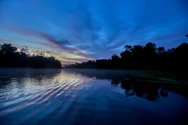 Amazon 'un aynası: Pacaya Samiria' nın sakin suları bereketli yağmur ormanlarını mükemmel bir şekilde yansıtarak toprak ve gökyüzünün kusursuz bir karışımını oluşturur. Biyolojik çeşitliliğin en fazla olduğu gezegenlerden birinde huzurlu bir an yakaladık..