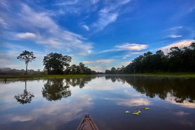 Amazon 'un aynası: Pacaya Samiria' nın sakin suları bereketli yağmur ormanlarını mükemmel bir şekilde yansıtarak toprak ve gökyüzünün kusursuz bir karışımını oluşturur. Biyolojik çeşitliliğin en fazla olduğu gezegenlerden birinde huzurlu bir an yakaladık..