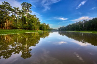 Amazon 'un aynası: Pacaya Samiria' nın sakin suları bereketli yağmur ormanlarını mükemmel bir şekilde yansıtarak toprak ve gökyüzünün kusursuz bir karışımını oluşturur. Biyolojik çeşitliliğin en fazla olduğu gezegenlerden birinde huzurlu bir an yakaladık..