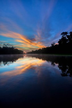Amazon 'un aynası: Pacaya Samiria' nın sakin suları bereketli yağmur ormanlarını mükemmel bir şekilde yansıtarak toprak ve gökyüzünün kusursuz bir karışımını oluşturur. Biyolojik çeşitliliğin en fazla olduğu gezegenlerden birinde huzurlu bir an yakaladık..