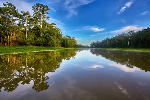 Amazon 'un aynası: Pacaya Samiria' nın sakin suları bereketli yağmur ormanlarını mükemmel bir şekilde yansıtarak toprak ve gökyüzünün kusursuz bir karışımını oluşturur. Biyolojik çeşitliliğin en fazla olduğu gezegenlerden birinde huzurlu bir an yakaladık..