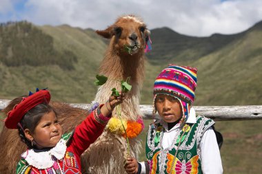 Andean gururunun, kimliğinin ve kültürel sürekliliğinin sembolleri olan canlı geleneksel Cusco kostümleri giymiş çocuklar. Gülüşleri ve renkleri sayesinde And Dağları 'nın ruhu parlıyor..