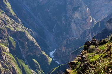 En derin kanyonlardan biri olan Colca dramatik uçurumları, dolambaçlı nehri ve ebedi And güzelliğiyle sersemletir. Eski güçler tarafından şekillendirilmiş ve yükselen akbabalar tarafından izlenen bir manzara.