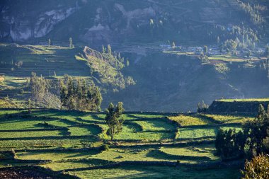 Colca Kanyonu 'nun İnka terasları nefes kesiciden de öte, yaşayan bir miras. Dik And yamaçlarına oyulmuş bu tarım harikaları yüzyıllar boyunca yaşamı sürdürdü..