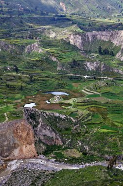 Colca Kanyonu 'nun İnka terasları nefes kesiciden de öte, yaşayan bir miras. Dik And yamaçlarına oyulmuş bu tarım harikaları yüzyıllar boyunca yaşamı sürdürdü..