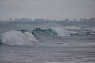 Büyük fırtınalı deniz dalgası. Peru Sahil Hattı - Caplina La Herradura Chorrillos.