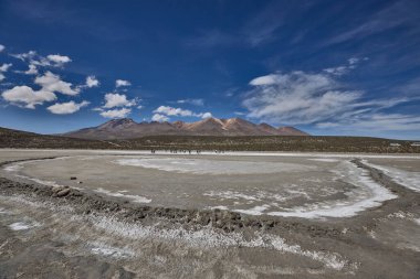 Salinas Gölü nefes kesici panoramik manzaralar sunuyor, yüksek irtifada vahşi yaşam ve volkanlar ve zamanla şekillenen bir manzara. Güney Peru 'yu keşfeden doğa aşıkları için görülmesi gereken bir yer..
