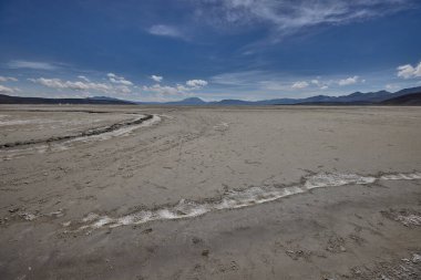 Salinas Gölü nefes kesici panoramik manzaralar sunuyor, yüksek irtifada vahşi yaşam ve volkanlar ve zamanla şekillenen bir manzara. Güney Peru 'yu keşfeden doğa aşıkları için görülmesi gereken bir yer..