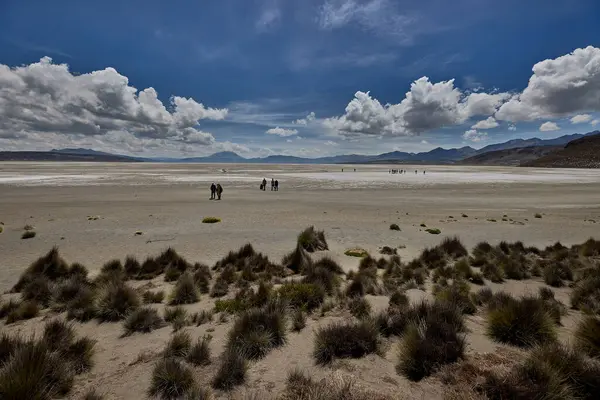 Salinas Gölü nefes kesici panoramik manzaralar sunuyor, yüksek irtifada vahşi yaşam ve volkanlar ve zamanla şekillenen bir manzara. Güney Peru 'yu keşfeden doğa aşıkları için görülmesi gereken bir yer..