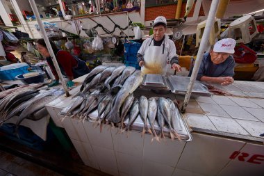 San Camilo Market 'te balıkçılar, Perus' un derin aşçılık köklerine ve sahil mirasını tanımlayan lezzetlere bir göz atma becerisi ve gururuyla yakaladıkları günleri getiriyorlar..
