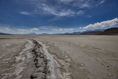 Salinas Gölü nefes kesici panoramik manzaralar sunuyor, yüksek irtifada vahşi yaşam ve volkanlar ve zamanla şekillenen bir manzara. Güney Peru 'yu keşfeden doğa aşıkları için görülmesi gereken bir yer..