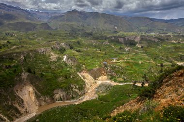 Colca Kanyonu 'nun İnka terasları nefes kesiciden de öte, yaşayan bir miras. Dik And yamaçlarına oyulmuş bu tarım harikaları yüzyıllar boyunca yaşamı sürdürdü..