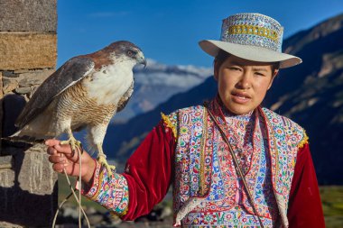 Maca 'da, Colca Valley' de, bir kadın gururla geleneksel kıyafetler giyer, bir şahin tutar ve alpakasının yanında Andean kültürünün çarpıcı bir portresi durur.