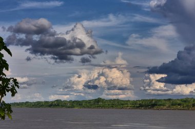 Gökyüzü güçlü Amazon fırtına bulutlarının üzerinde kükrer, rüzgarlar yükselir ve doğa bize ormanı kimin yönettiğini hatırlatır. Iquitos sularının üzerinde dramatik bir an.