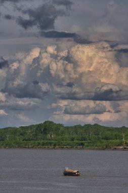 Gökyüzü güçlü Amazon fırtına bulutlarının üzerinde kükrer, rüzgarlar yükselir ve doğa bize ormanı kimin yönettiğini hatırlatır. Iquitos sularının üzerinde dramatik bir an.