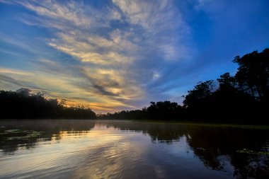 Pacaya Samiria 'nın aynalı suları üzerinde nefes kesici bir gün doğumu, sessizlik, sis ve renklerin doğanın en kutsal ayinlerinden birinde birleştiği yer. Peru yağmur ormanlarının derinliklerinde.