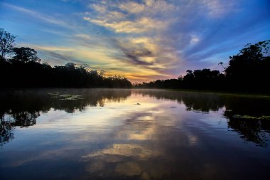 Pacaya Samiria 'nın aynalı suları üzerinde nefes kesici bir gün doğumu, sessizlik, sis ve renklerin doğanın en kutsal ayinlerinden birinde birleştiği yer. Peru yağmur ormanlarının derinliklerinde.