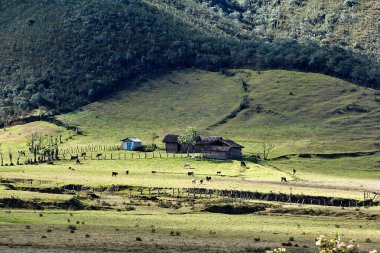 Amazonas 'taki Huaylla Beln Vadisi geniş ve nefes kesici. Peru, And Dağları' nın ve gökyüzünün sessiz bir uyum içinde buluştuğu otlakların ve suların yumuşak kıvrımlarında açılır..